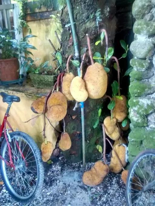 Casas 100M Da Praia Camburi  Kültér fotó